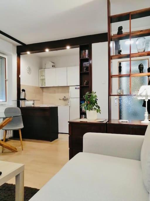 Dorcol Hideaway Apartman Belgrád Kültér fotó